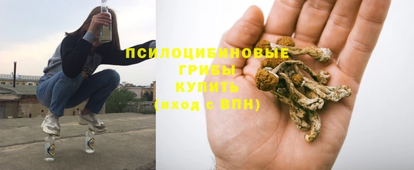 прущие грибы Краснотурьинск