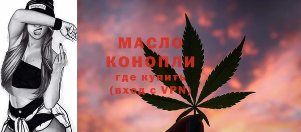 прущие грибы Краснотурьинск