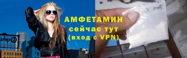 прущие грибы Краснотурьинск