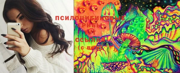 прущие грибы Краснотурьинск